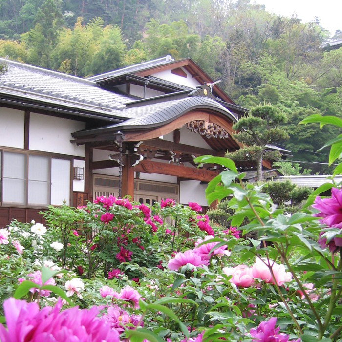 ぼたん園と寺務所